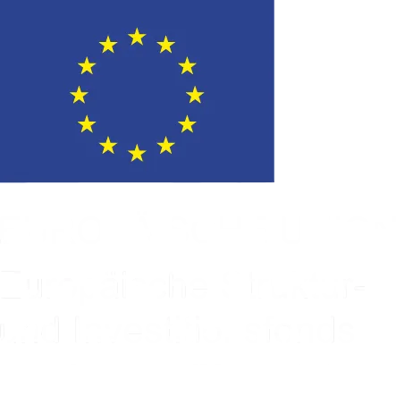 EU Logo mit ESI unter Fahne linksbündig weiß