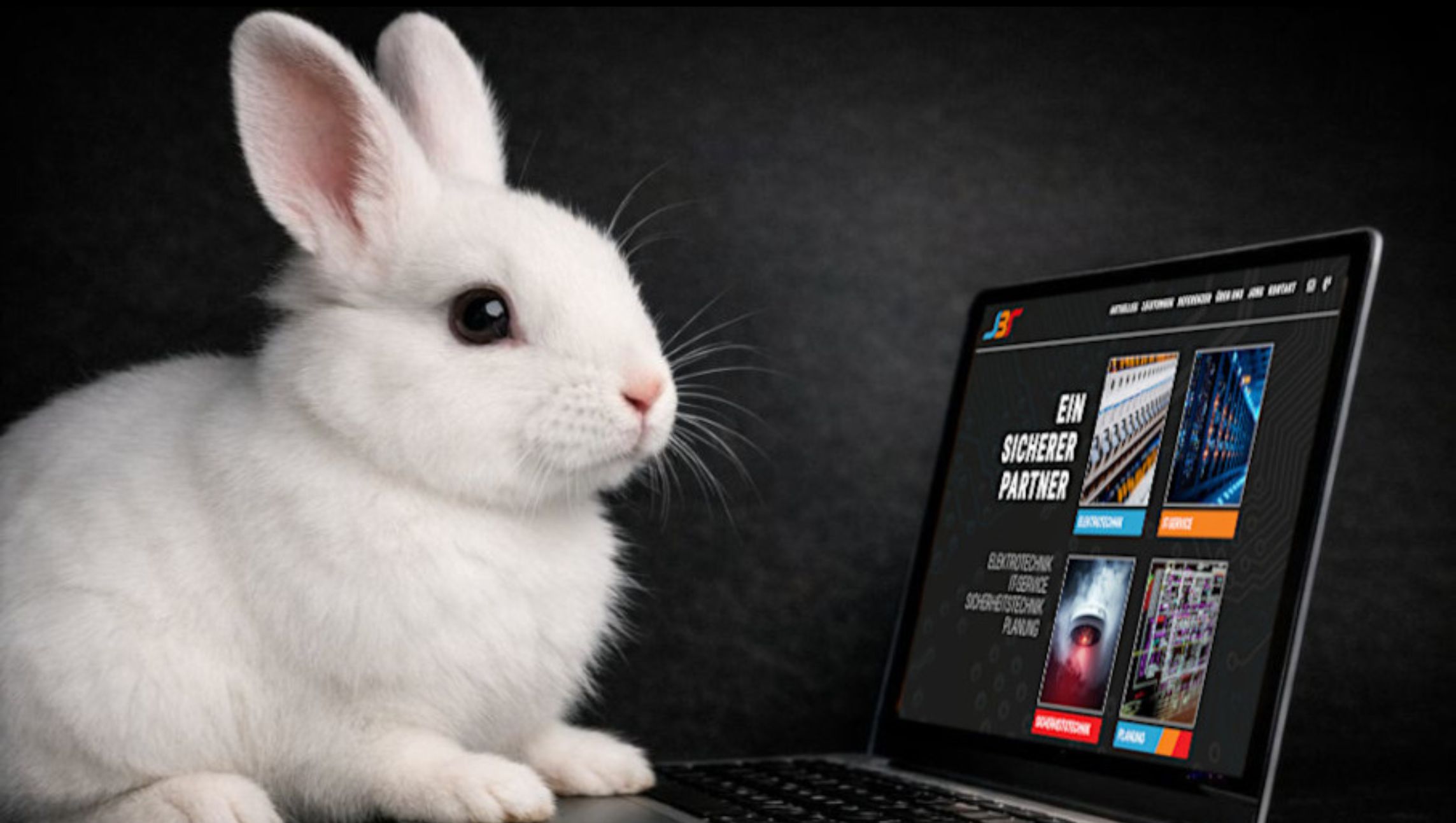 Hase vorm Laptop